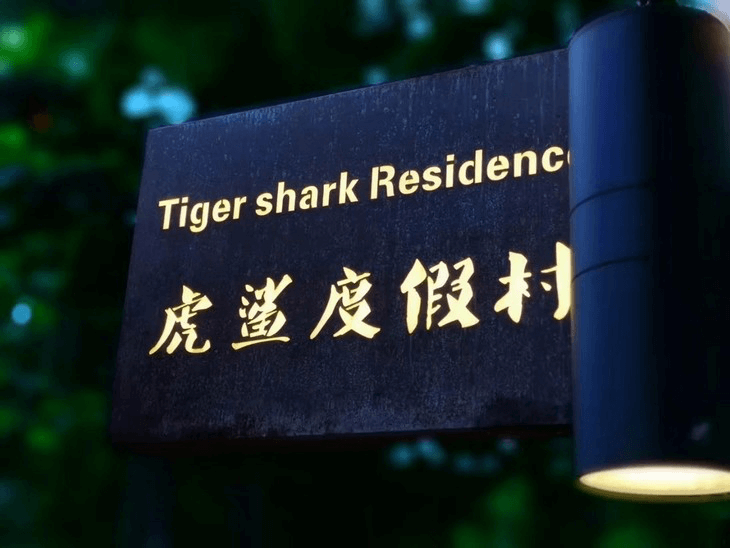 马尔代夫虎鲨潜水度假村水肺潜水套餐