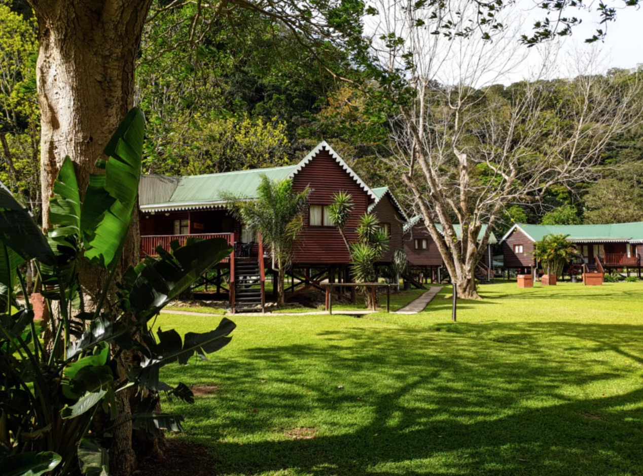 南非 Pro Dive Travel 潜水度假村浮潜套餐